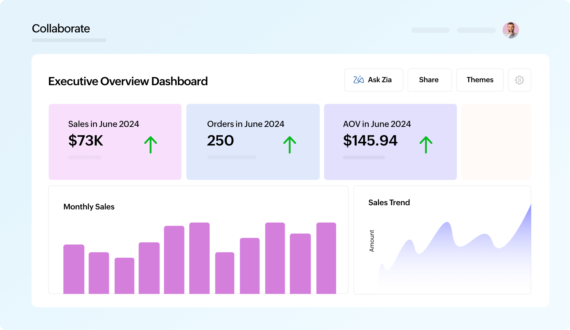 Interface do Zoho Analytics — painel compartilhado com o time